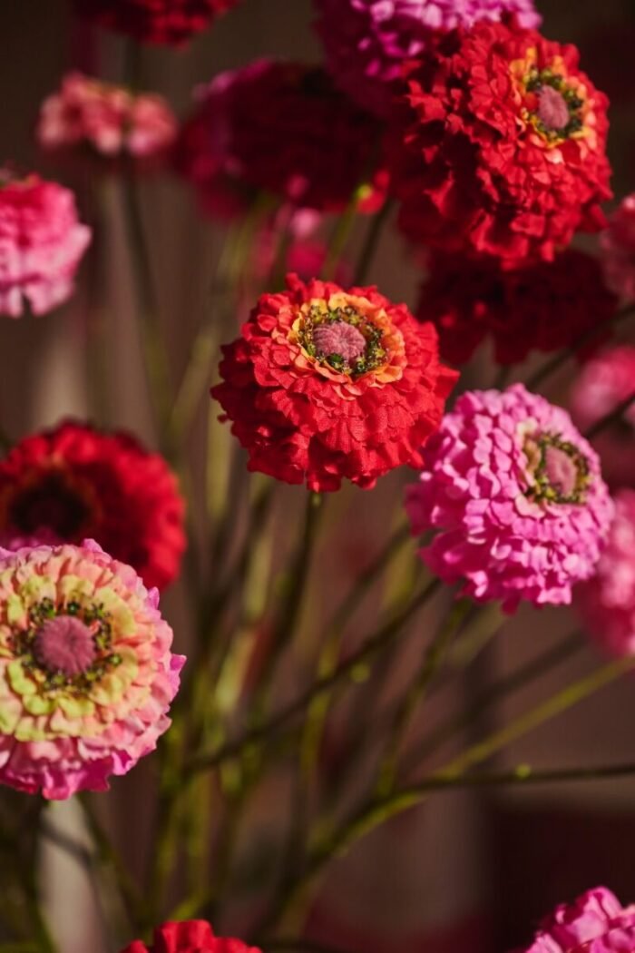 marvelous zinnias 2