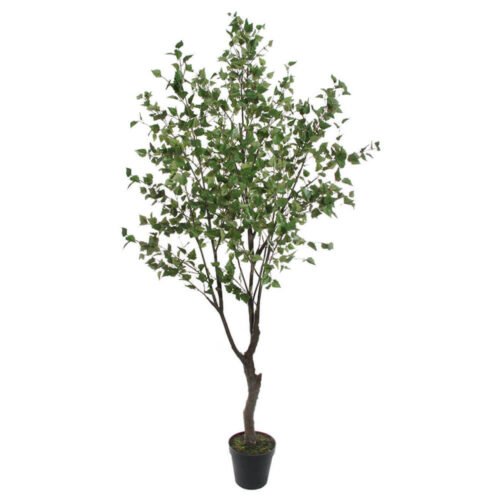 birsfa-3