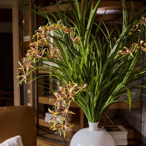 orchidea-2