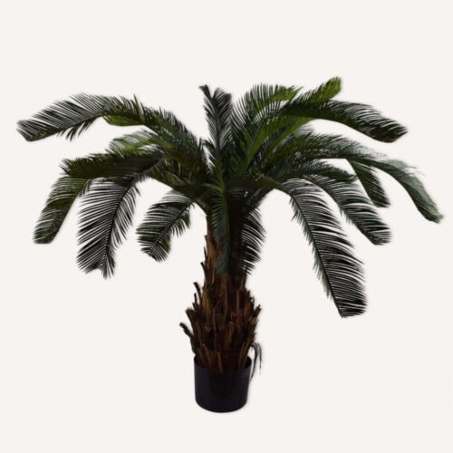 palma-60cm