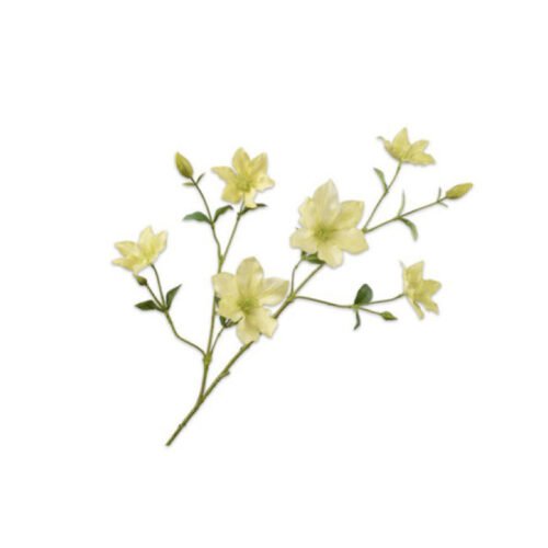 clematis-94
